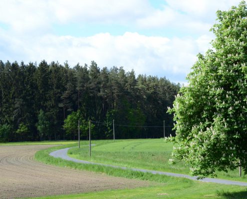 hofkaeserei-lang-quer-00018