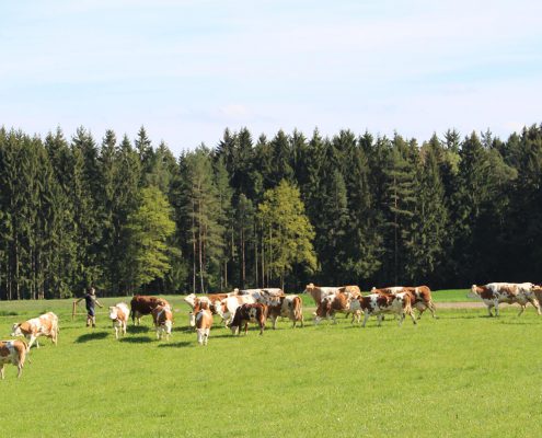 hofkaeserei-lang-quer-00030