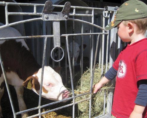 hofkaeserei-lang-quer-00046