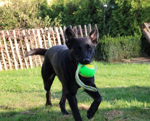 cfd43904-28d6-4982-be2a-cb7f4de322f1