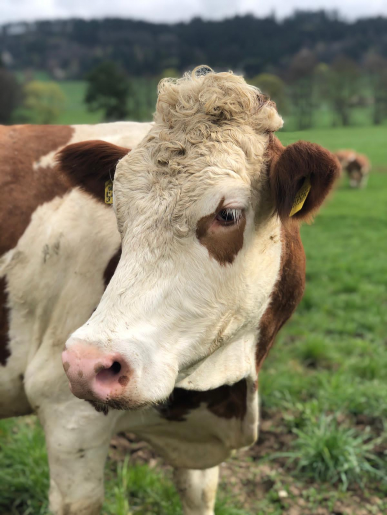 a6b04015-4b28-4b8c-8bb8-54b823b47a6e